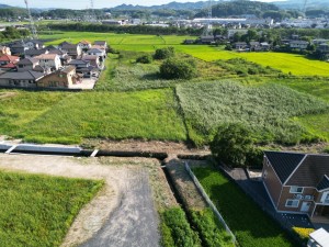 DJI_0246