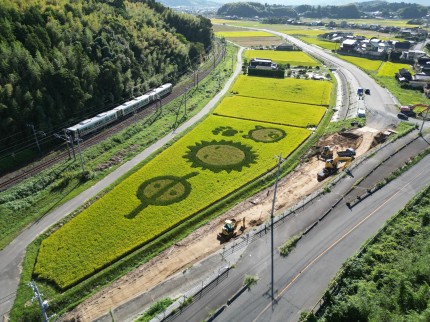 DJI_0916